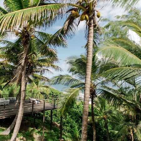 Eco Lifestyle And Lodge Bathsheba Bagian luar foto