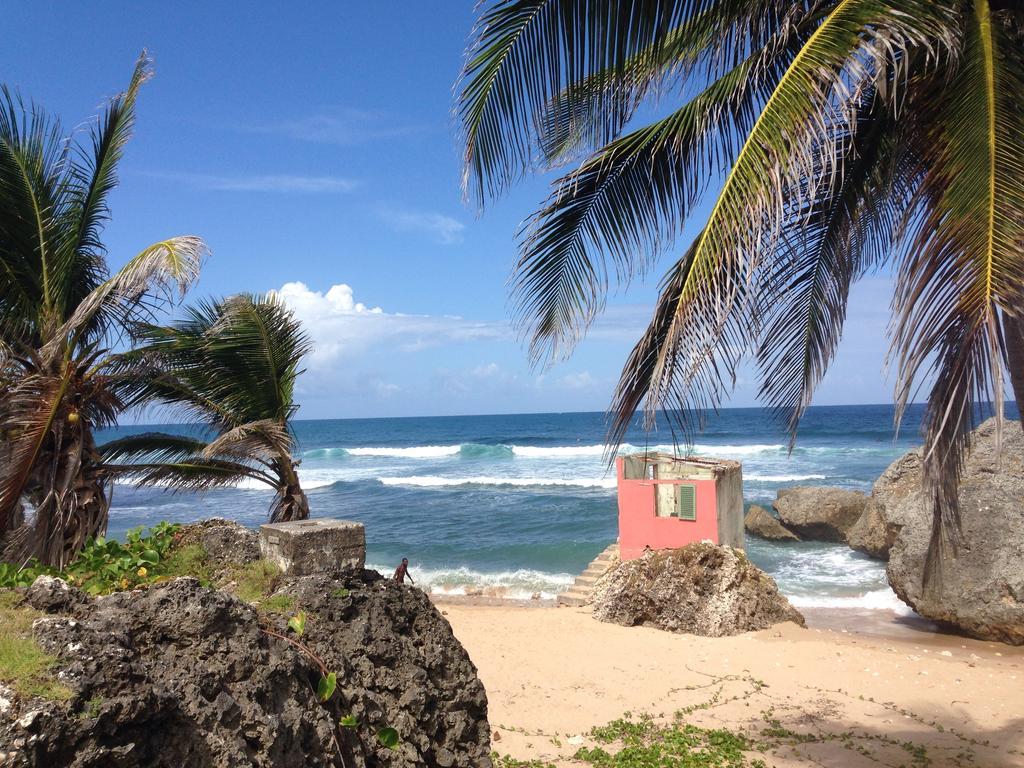 Eco Lifestyle And Lodge Bathsheba Bagian luar foto