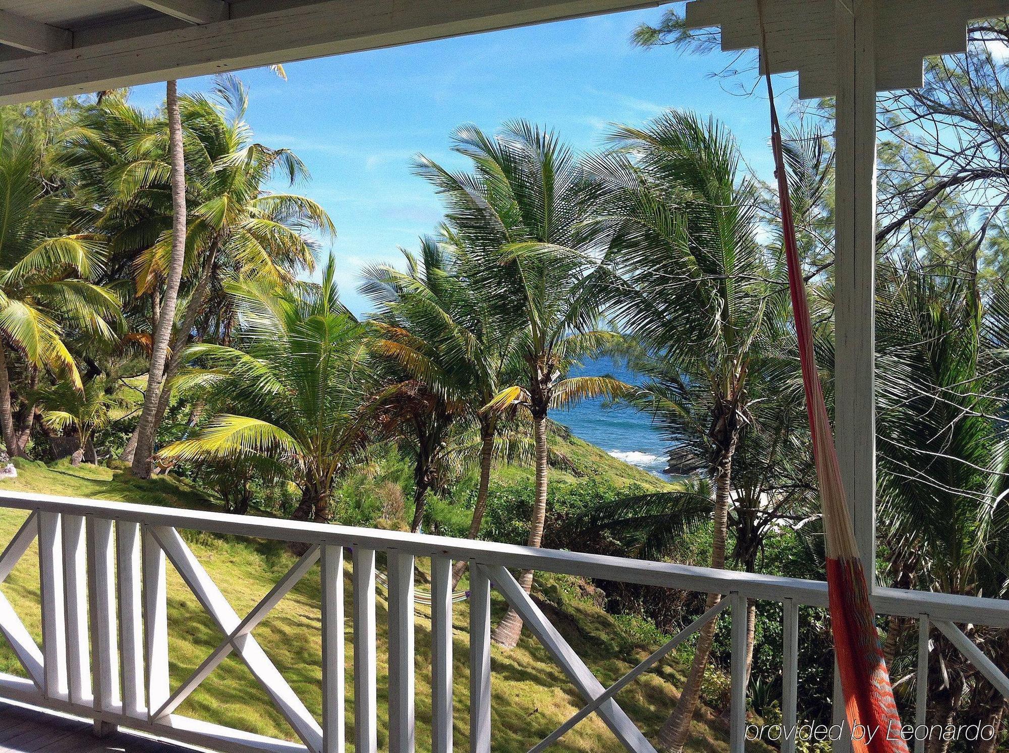 Eco Lifestyle And Lodge Bathsheba Bagian luar foto