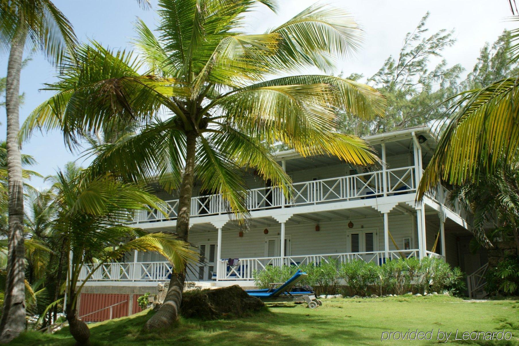 Eco Lifestyle And Lodge Bathsheba Bagian luar foto