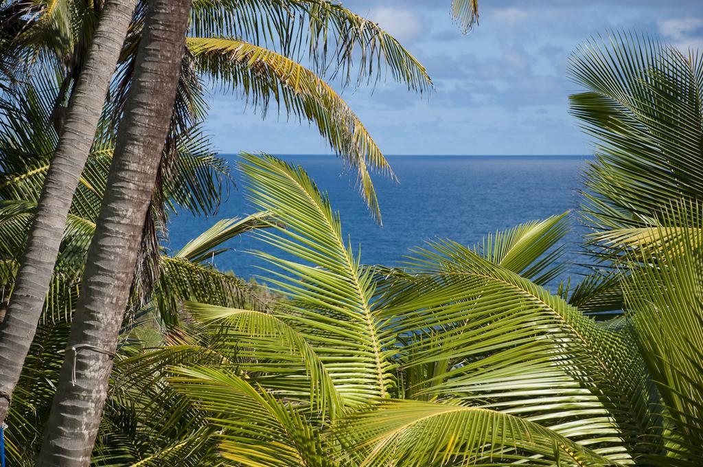 Eco Lifestyle And Lodge Bathsheba Bagian luar foto