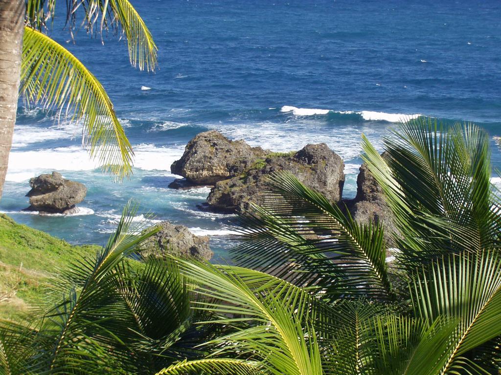 Eco Lifestyle And Lodge Bathsheba Bagian luar foto