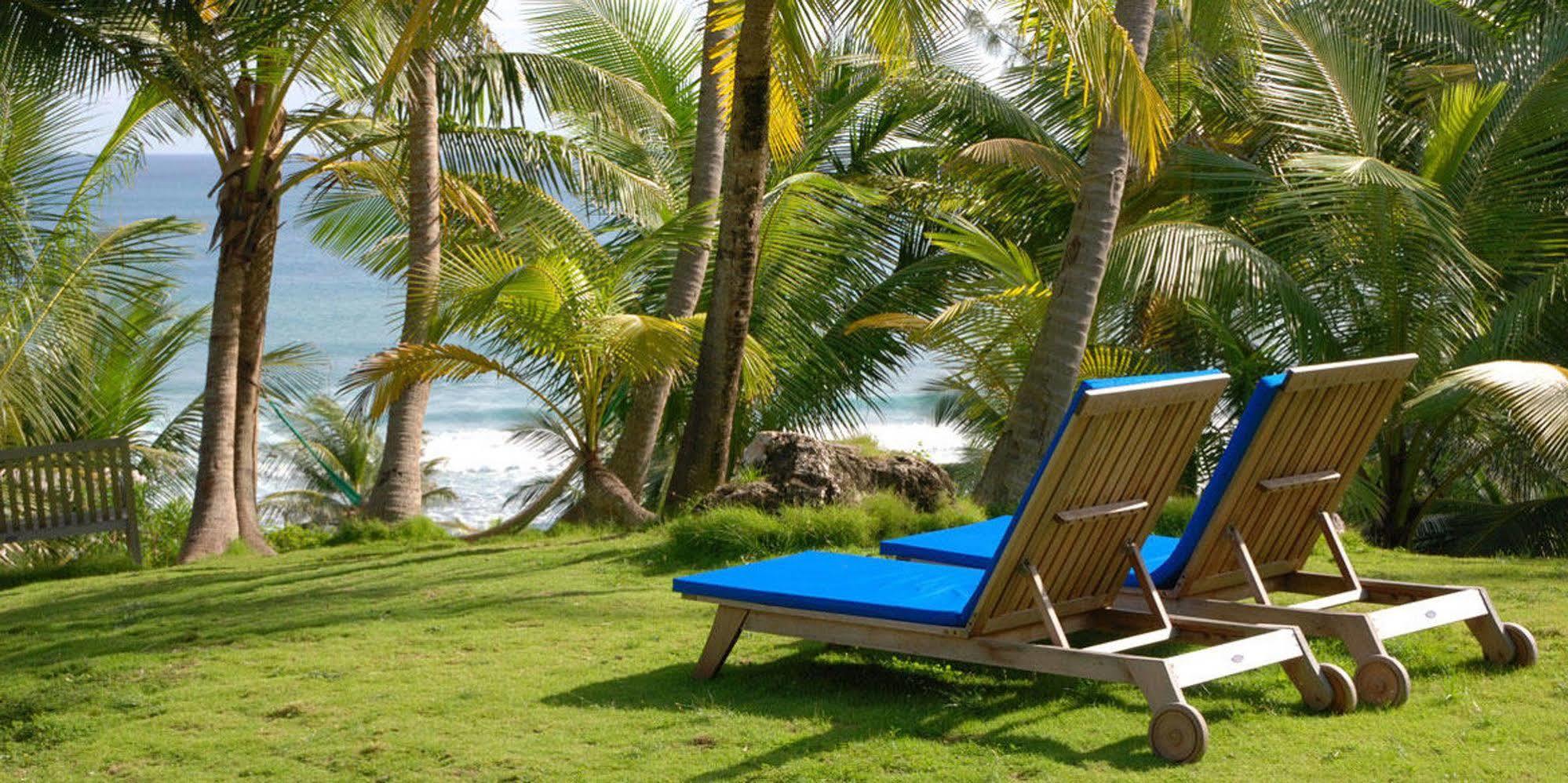 Eco Lifestyle And Lodge Bathsheba Bagian luar foto