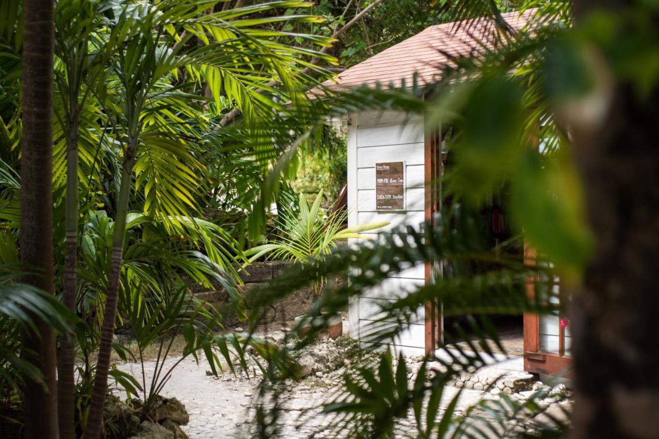 Eco Lifestyle And Lodge Bathsheba Bagian luar foto