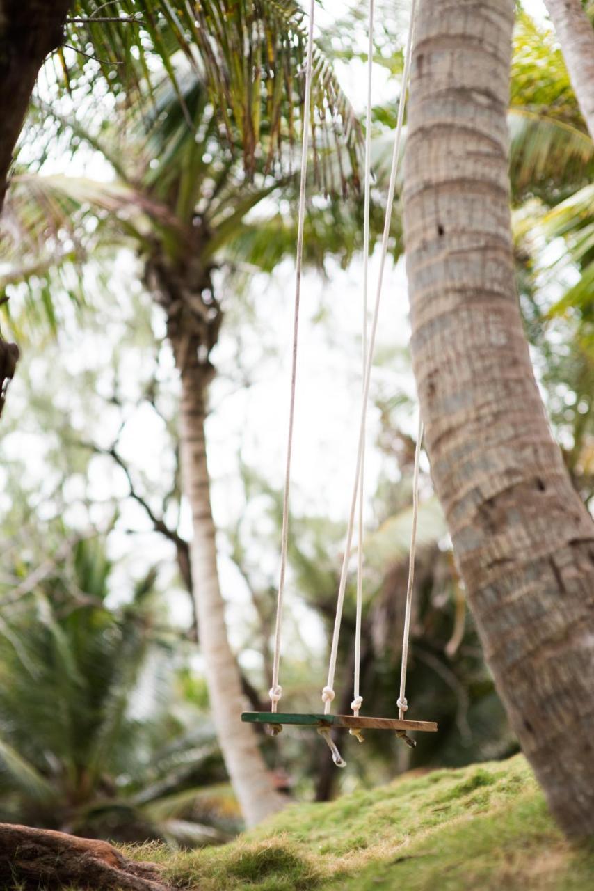 Eco Lifestyle And Lodge Bathsheba Bagian luar foto