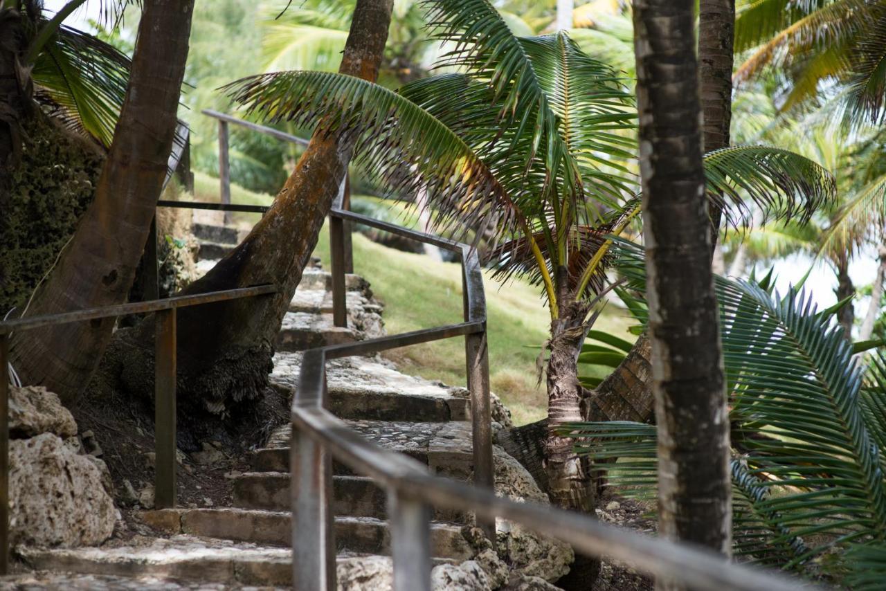 Eco Lifestyle And Lodge Bathsheba Bagian luar foto