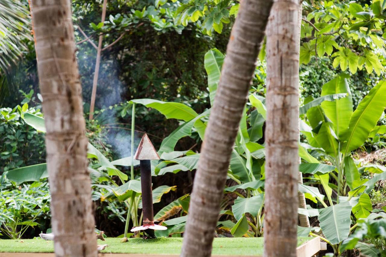 Eco Lifestyle And Lodge Bathsheba Bagian luar foto