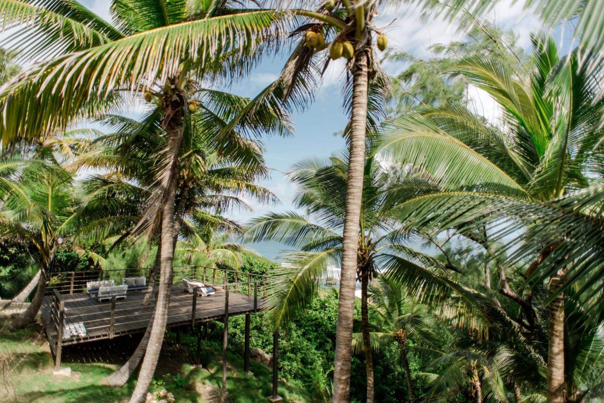 Eco Lifestyle And Lodge Bathsheba Bagian luar foto